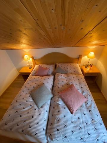 Landhaus Alpenland 楚格 外观 照片